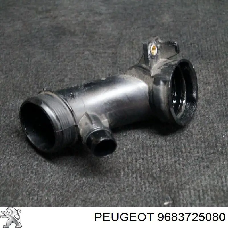 Comprar 9683725080 Peugeot/Citroen 