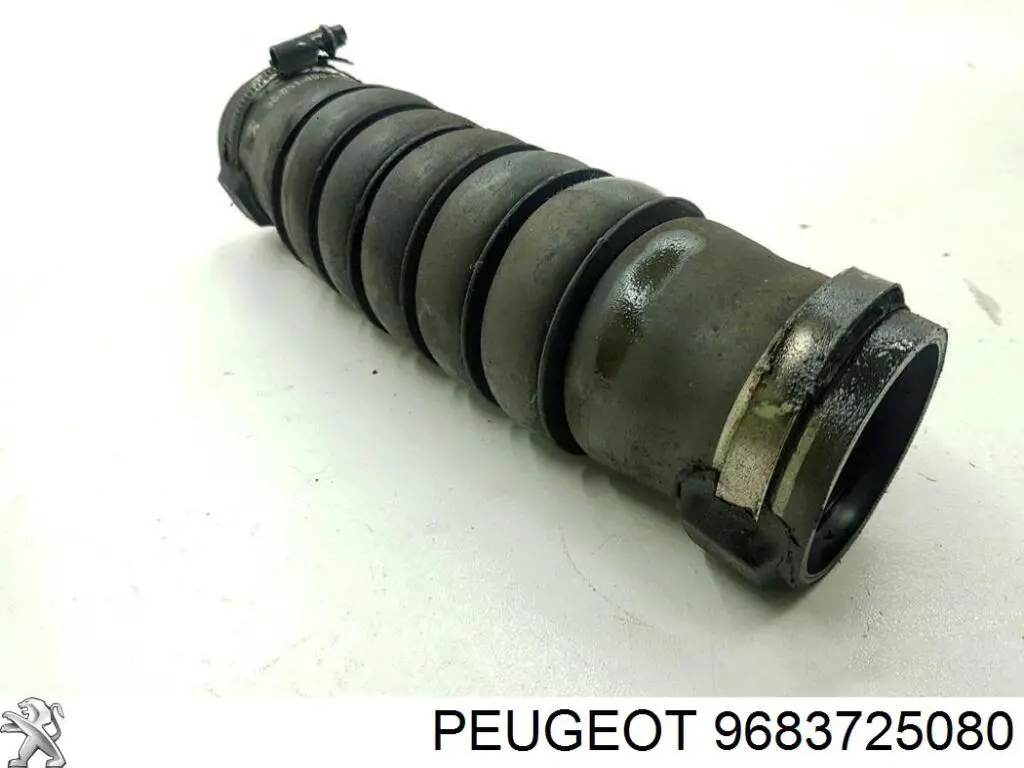 Peugeot/Citroen 9683725080 precio, desde 29,04 EUR
