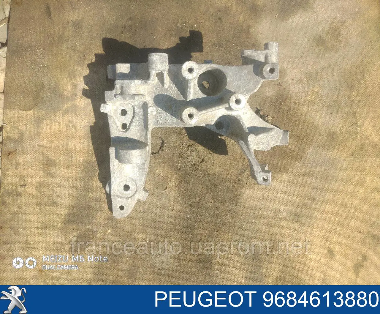  Peugeot/Citroen 9684613880 precio, desde 55,18 EUR