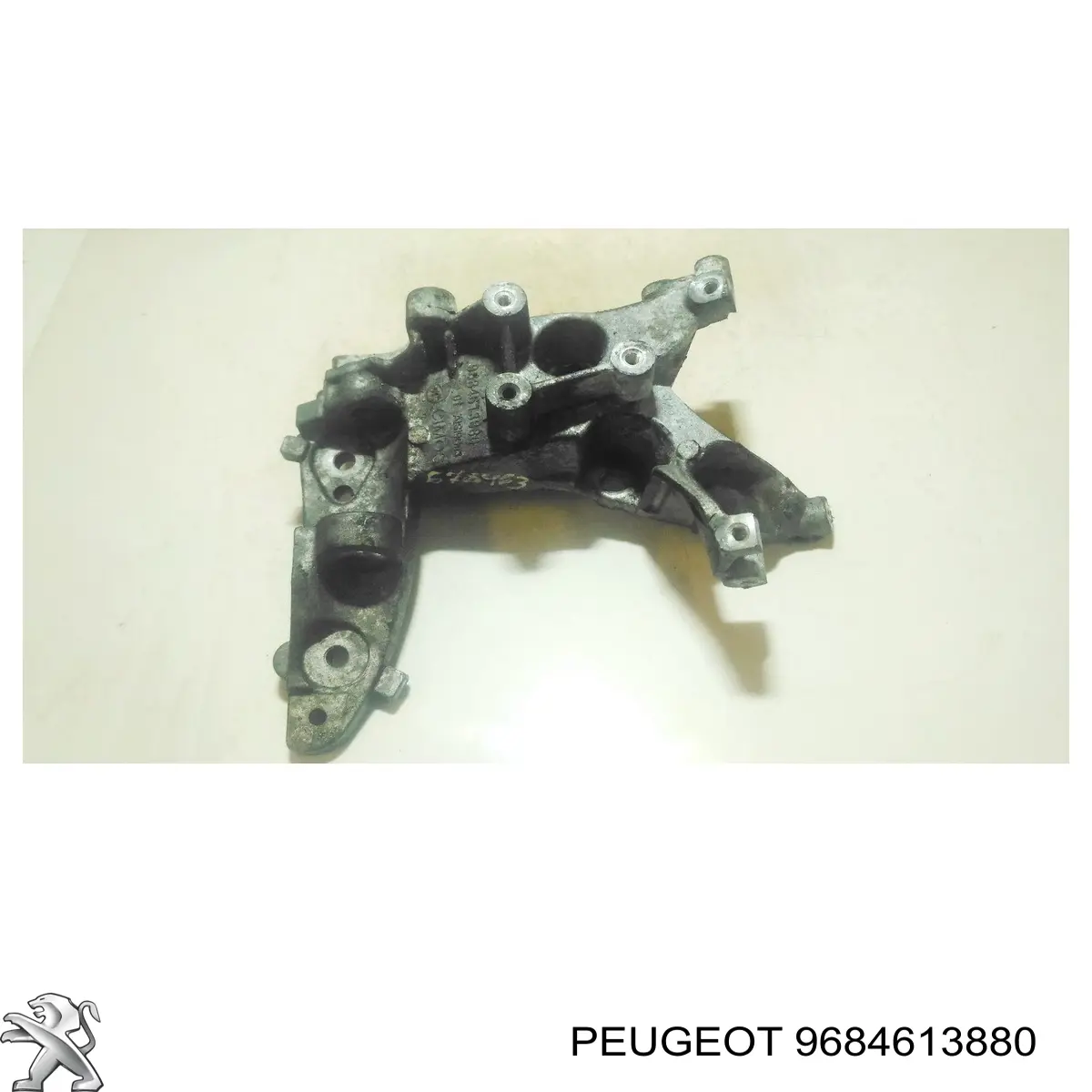 9684613880 Peugeot/Citroen 