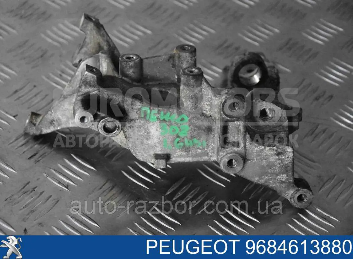Comprar 9684613880 Peugeot/Citroen 