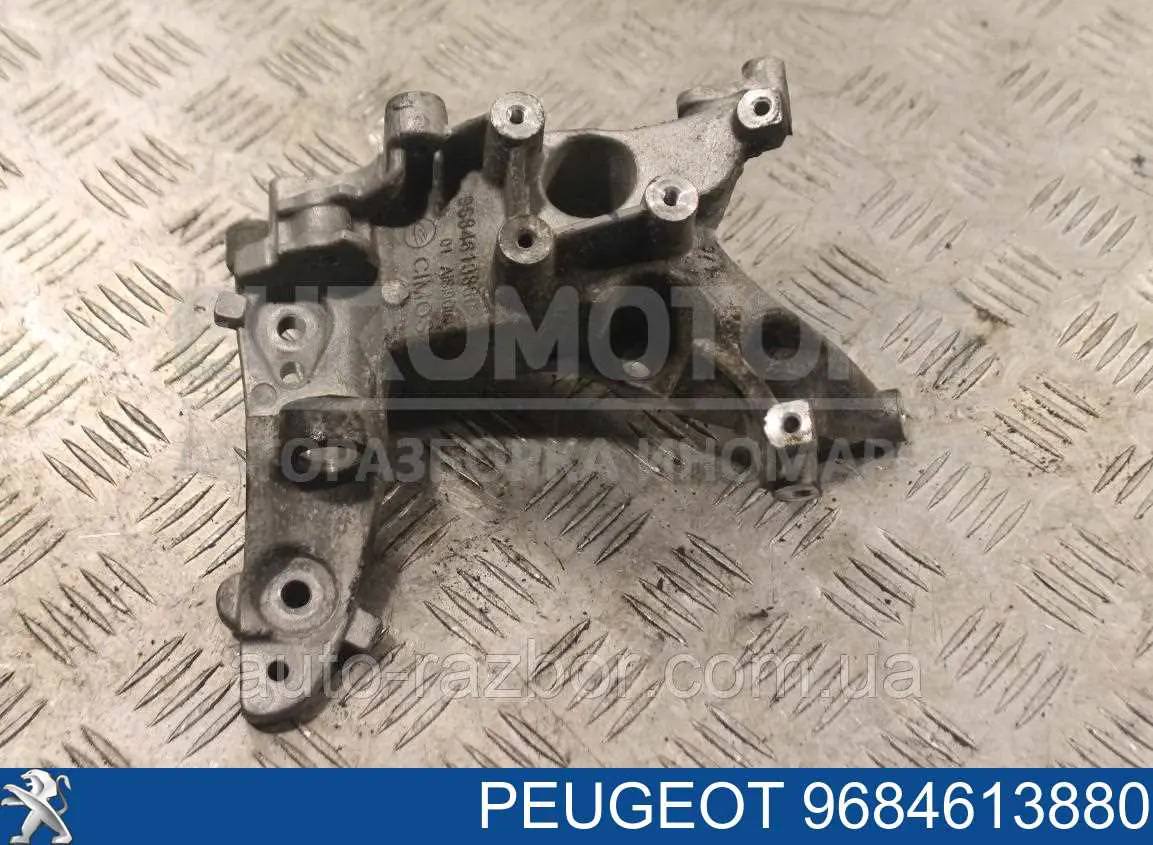  9684613880 Peugeot/Citroen