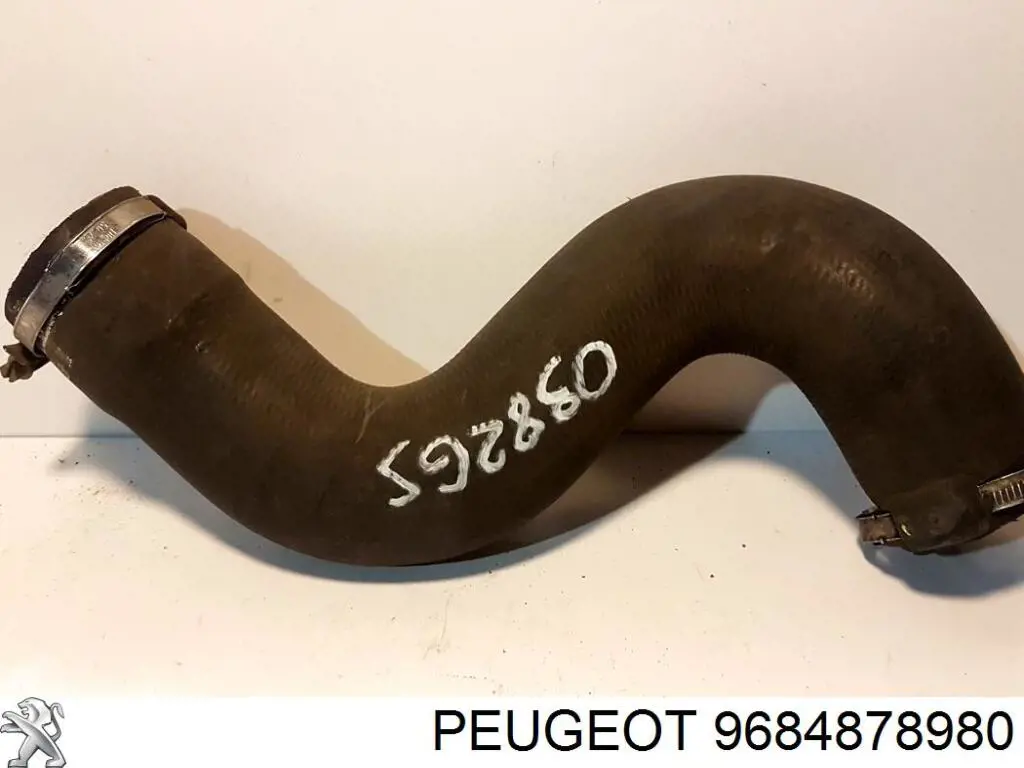 9684878980 Peugeot/Citroen 