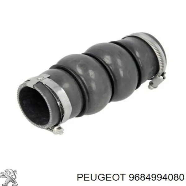 Manguera del intercooler Peugeot/Citroen 9684994080 precio, desde 25,04 EUR
