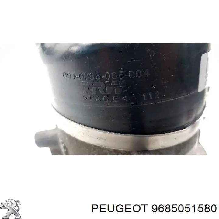 9685051580 Peugeot/Citroen bomba de dirección