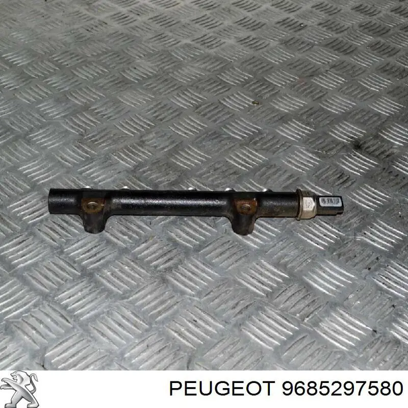 9685297580 Peugeot/Citroen rampa de inyectores