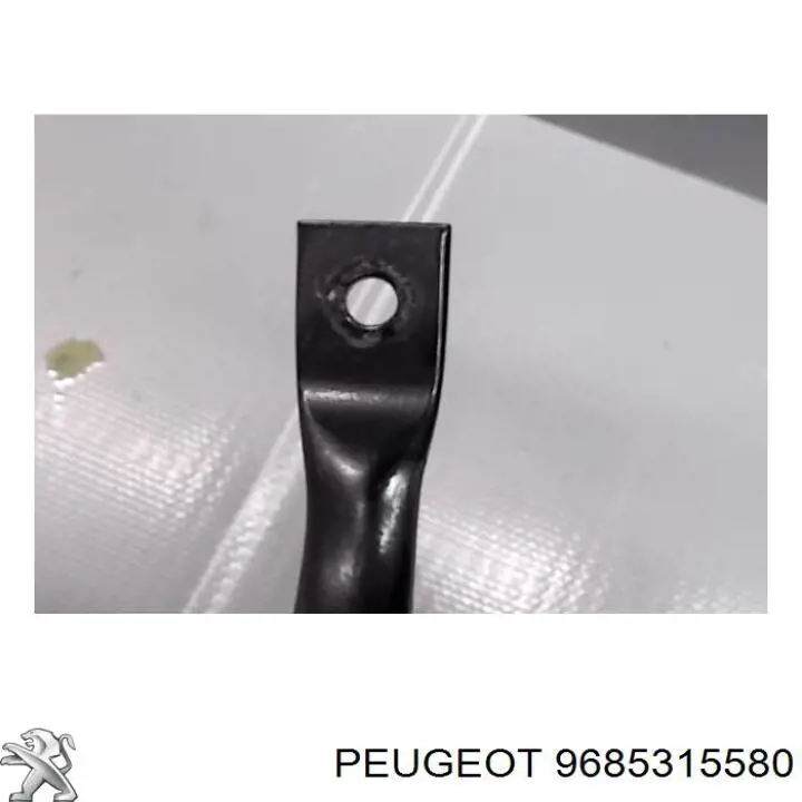 9685315580 Peugeot/Citroen 