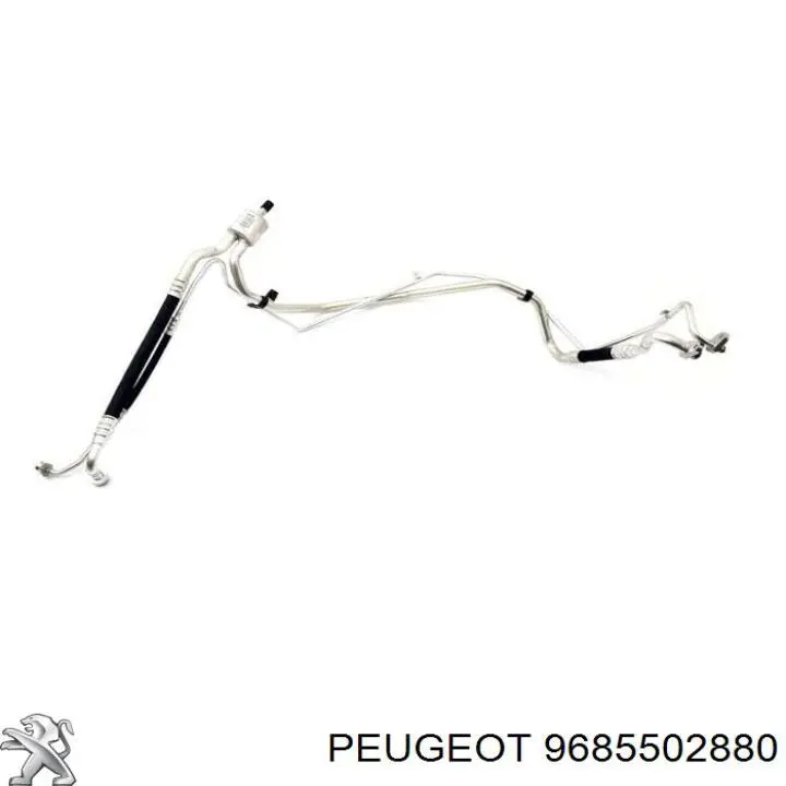 9685502880 Peugeot/Citroen 