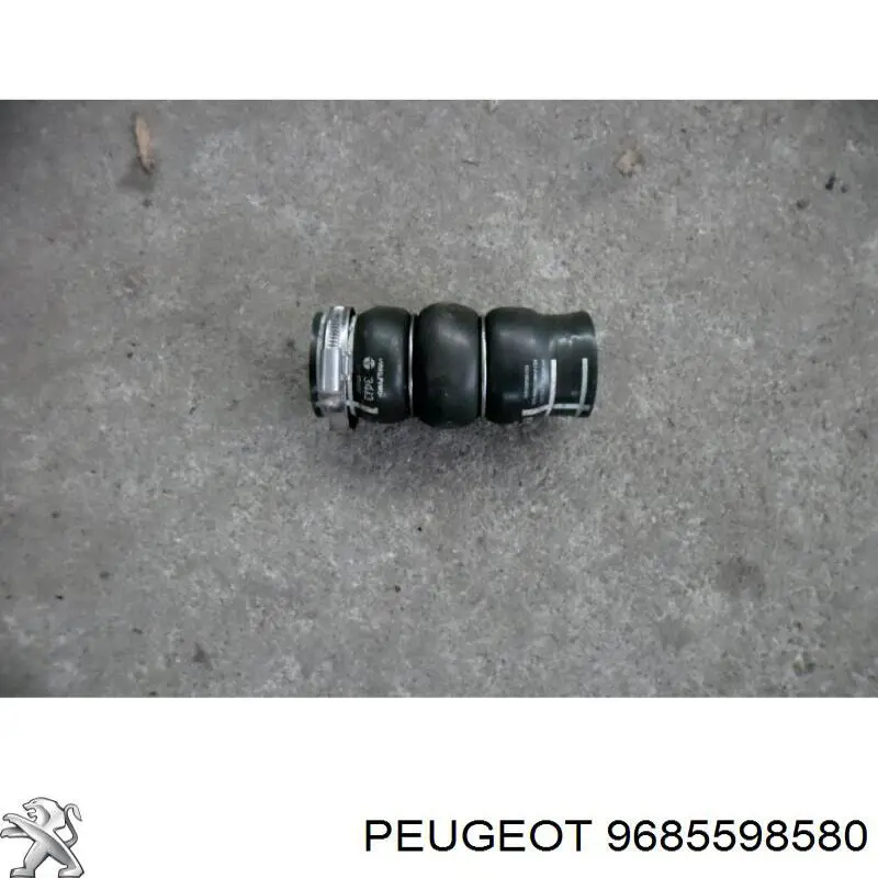 9685598580 Peugeot/Citroen