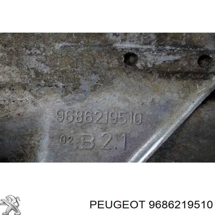  9686219510 Peugeot/Citroen