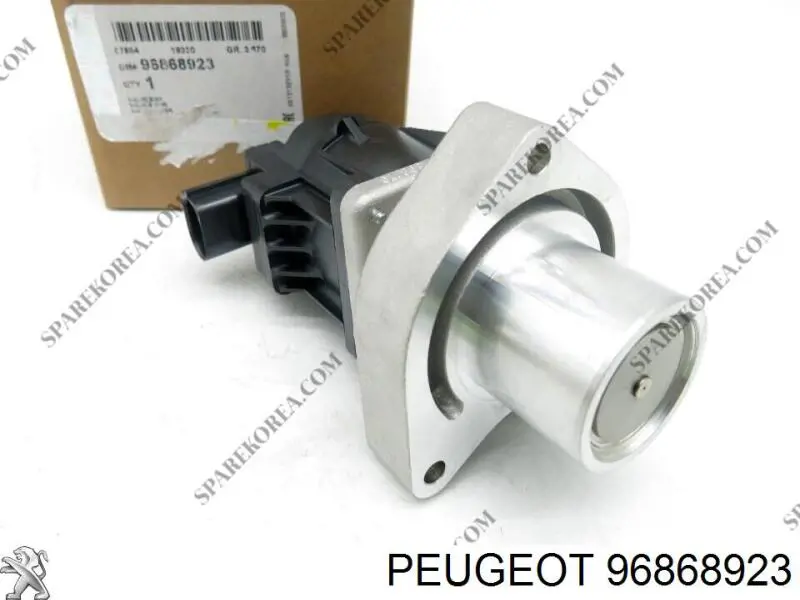 Comprar 96868923 Peugeot/Citroen Válvula EGR