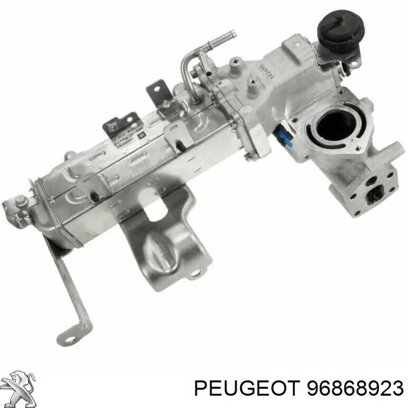 EGR Delphi EG1063812B1