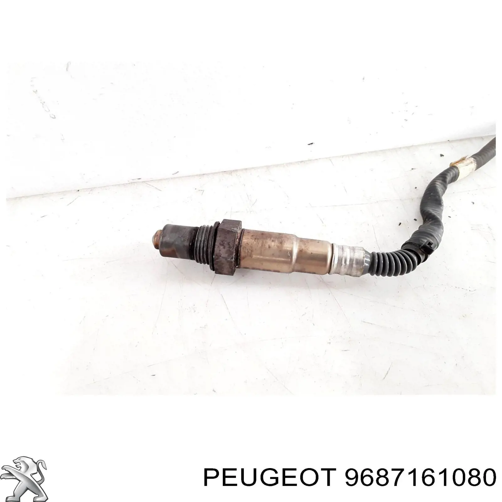 Sonda de oxígeno Peugeot/Citroen 9687161080 precio, desde 39,70 EUR