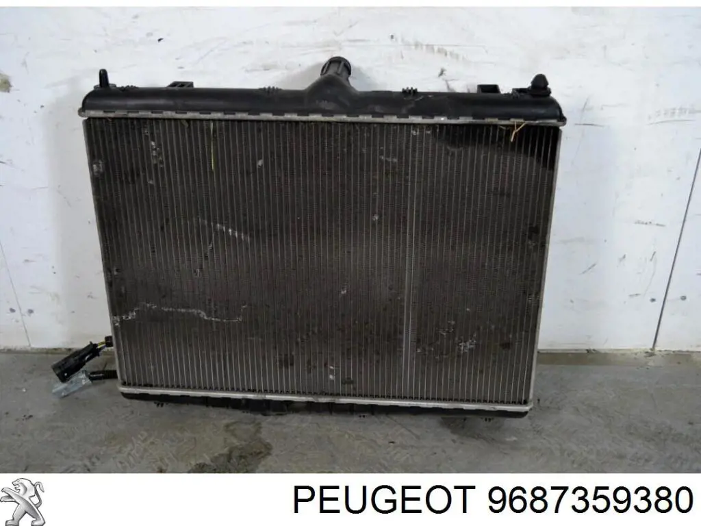  Peugeot/Citroen 9687359380 precio, desde 92,56 EUR