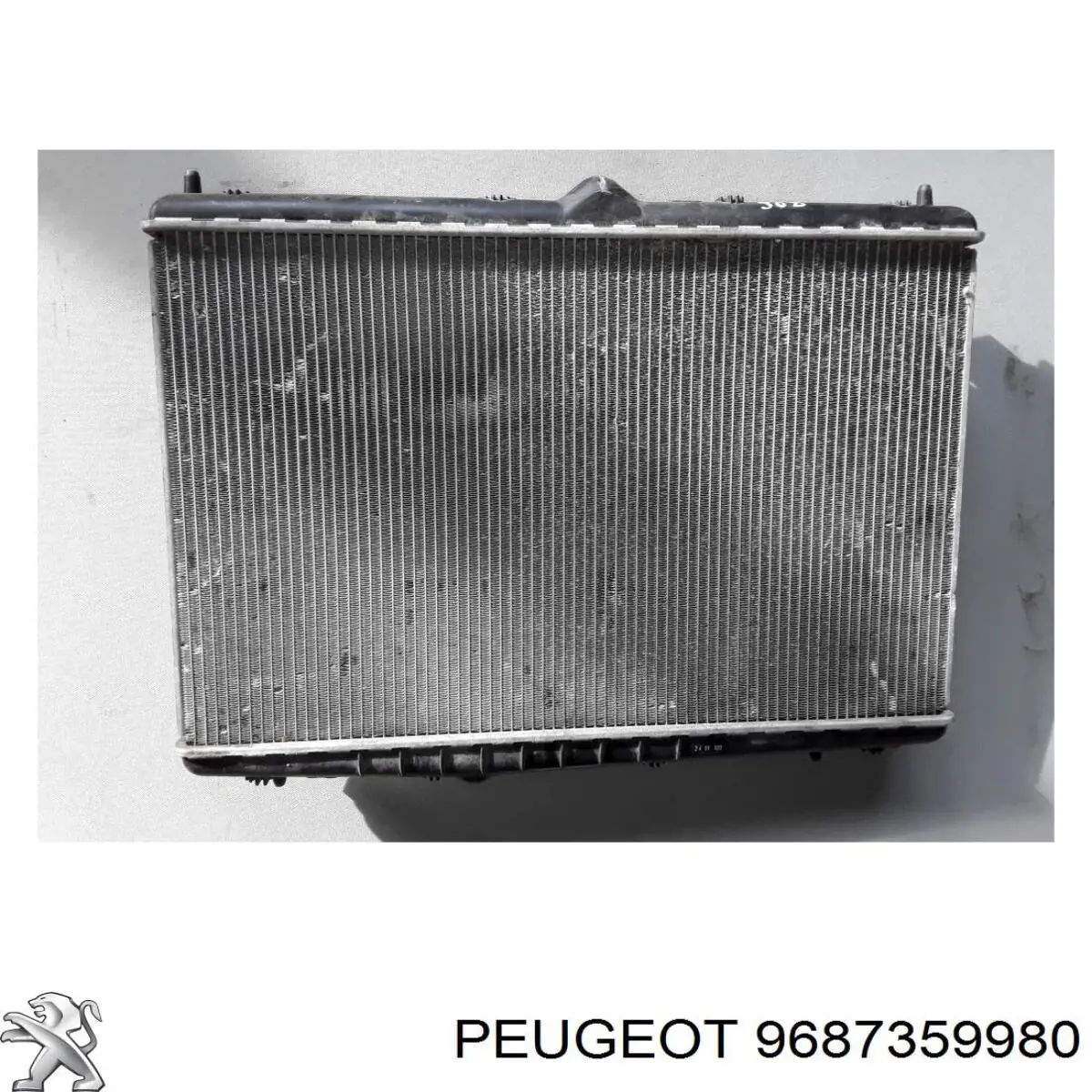 Água radiador Peugeot/Citroen 9687359980 precio, desde 61,71 EUR