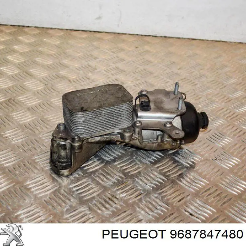 9687847480 Peugeot/Citroen caja, filtro de aceite