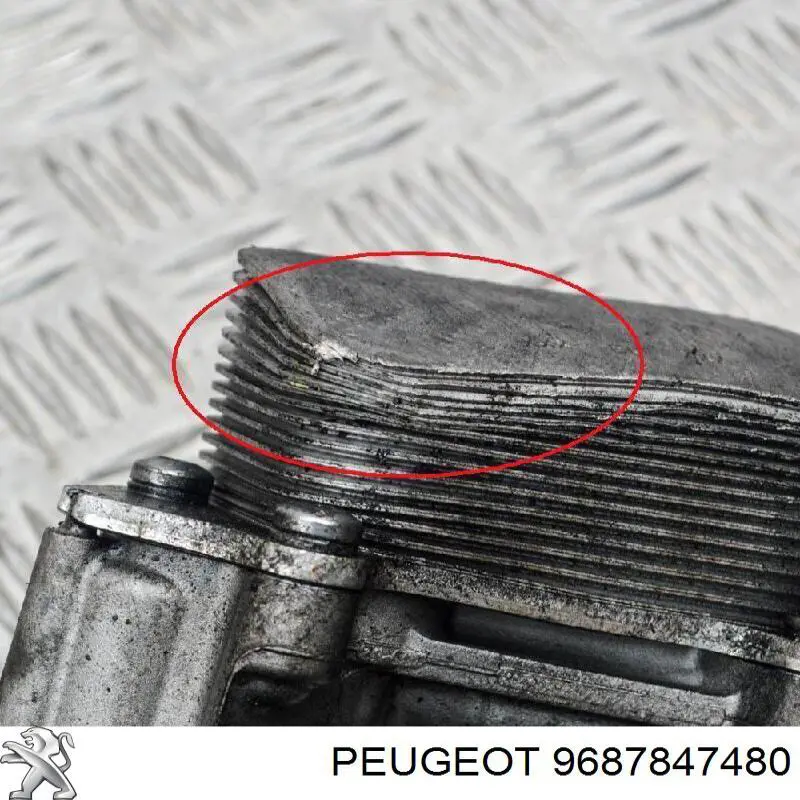 Portafiltro de aceite Peugeot/Citroen 9687847480 precio, desde 68,05 EUR