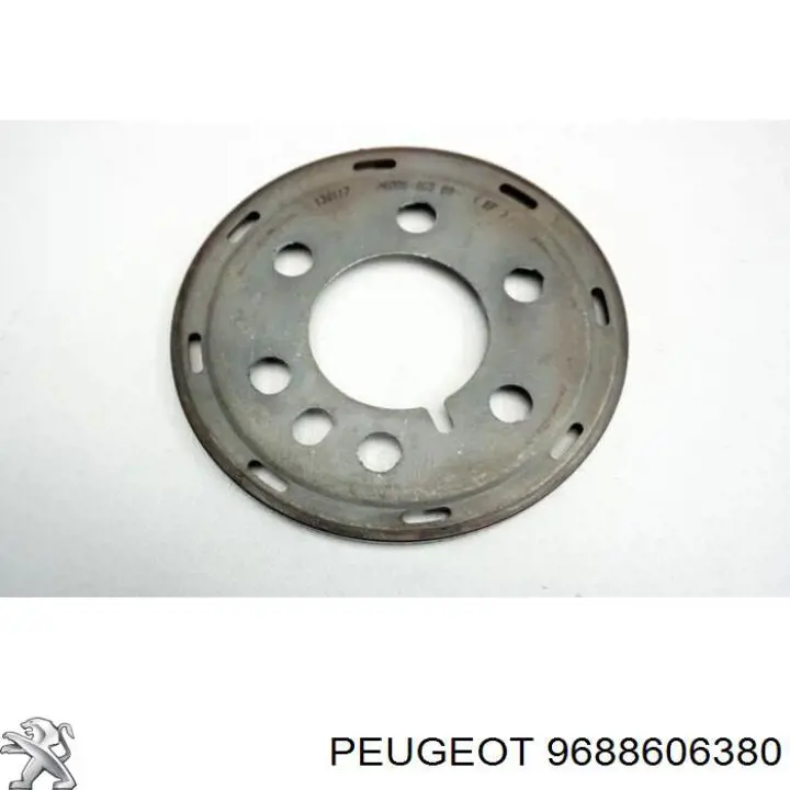  Peugeot/Citroen 9688606380 precio, desde 28,99 EUR