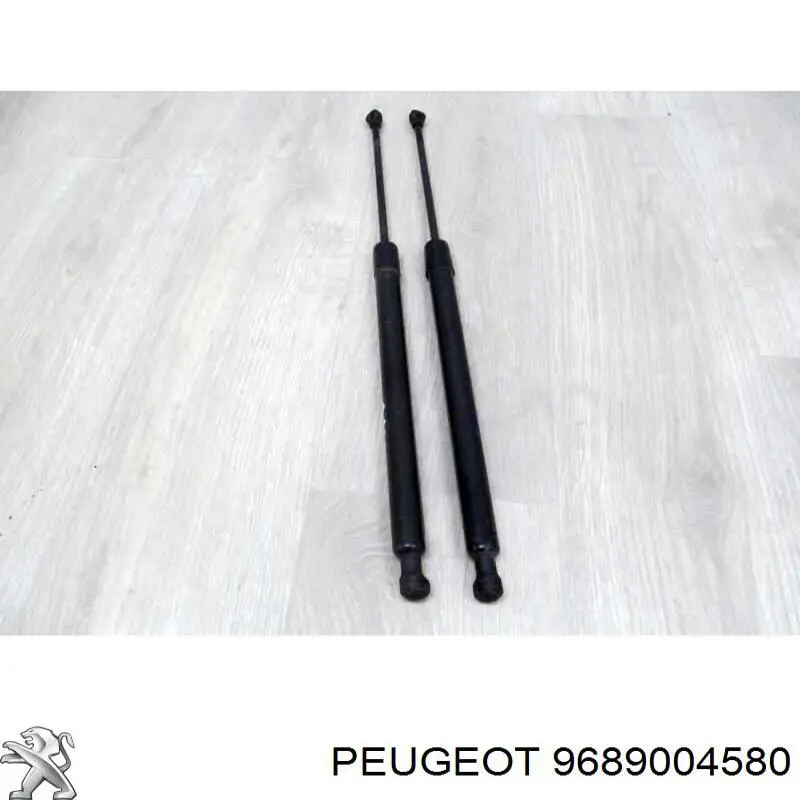 9689004580 Peugeot/Citroen Amortiguador de porton