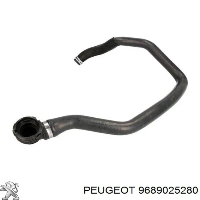 9689025280 Peugeot/Citroen manguera refrigerante para radiador inferiora