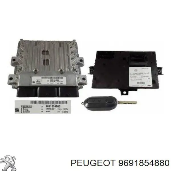Comprar 9691854880 Peugeot/Citroen ECU