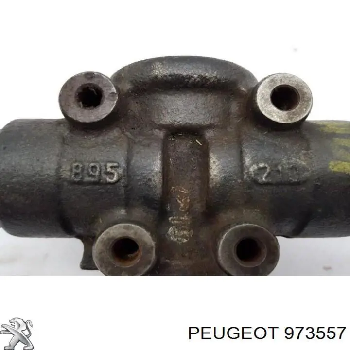 973557 Peugeot/Citroen 