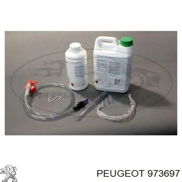 Líquido para limpieza de filtros de partículas diésel 973697 Peugeot/Citroen
