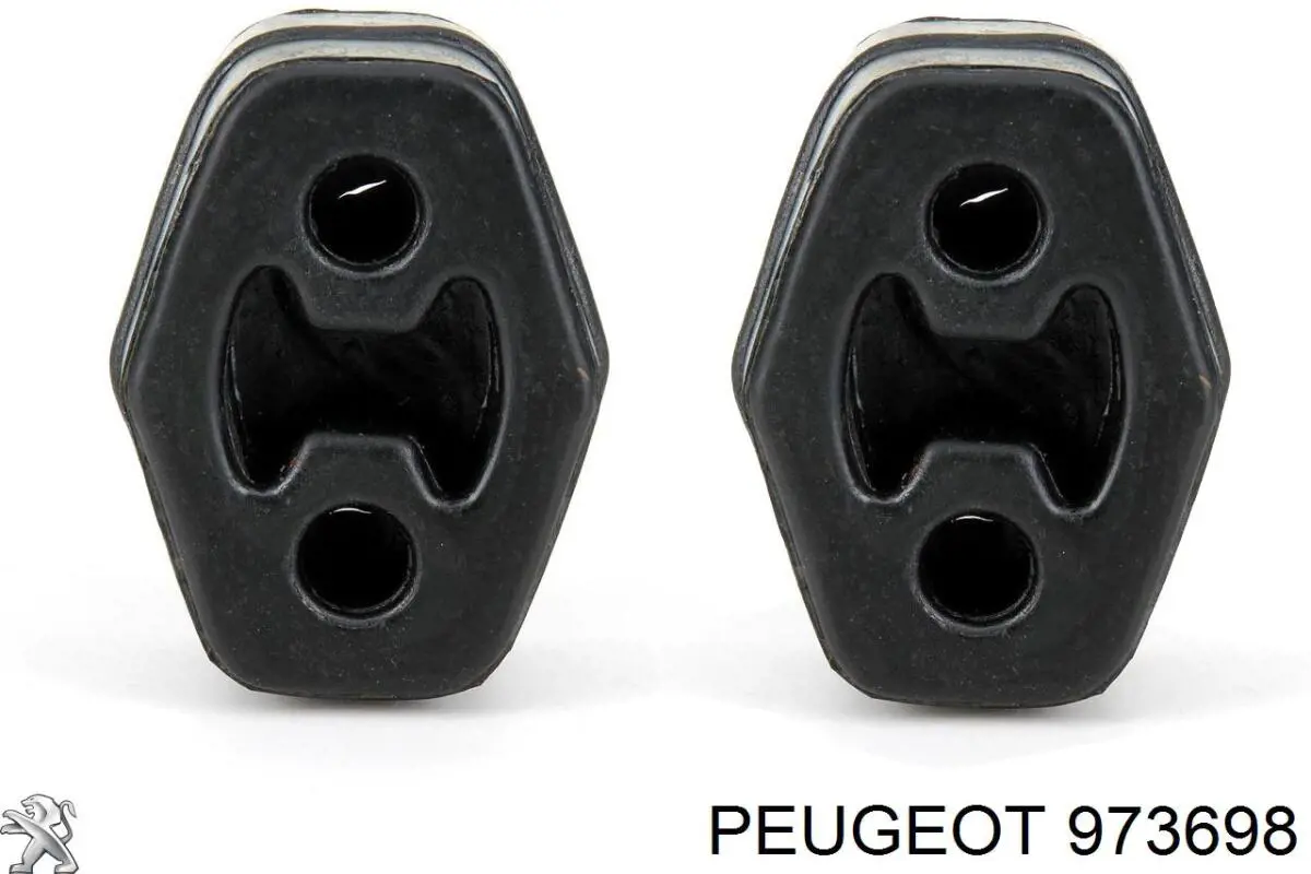 973698 Peugeot/Citroen Líquido para limpieza de filtros de partículas diésel