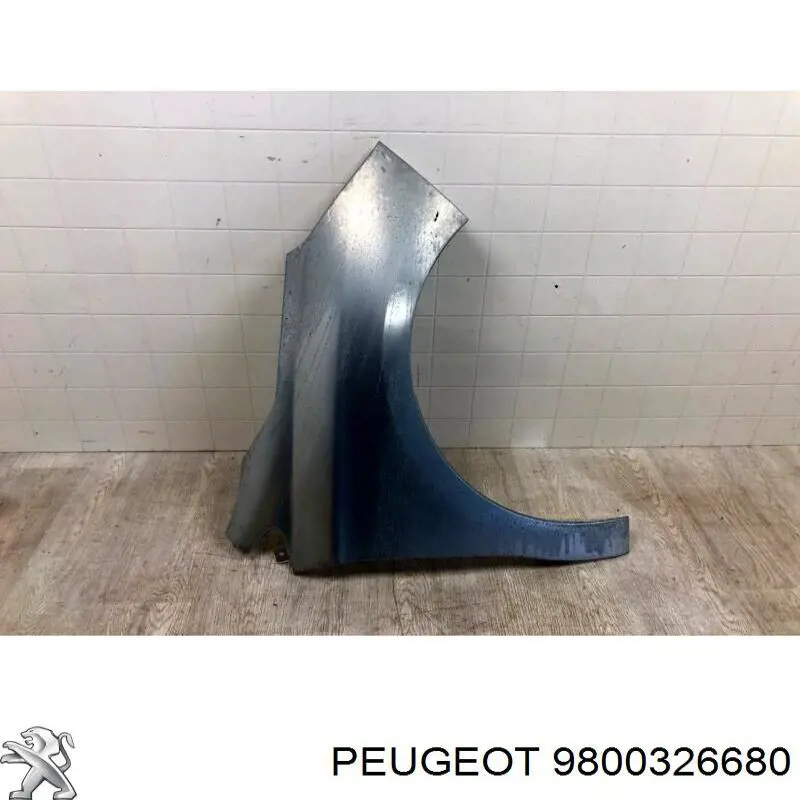 Comprar Aleta Citroen C4 RUSSIA B73