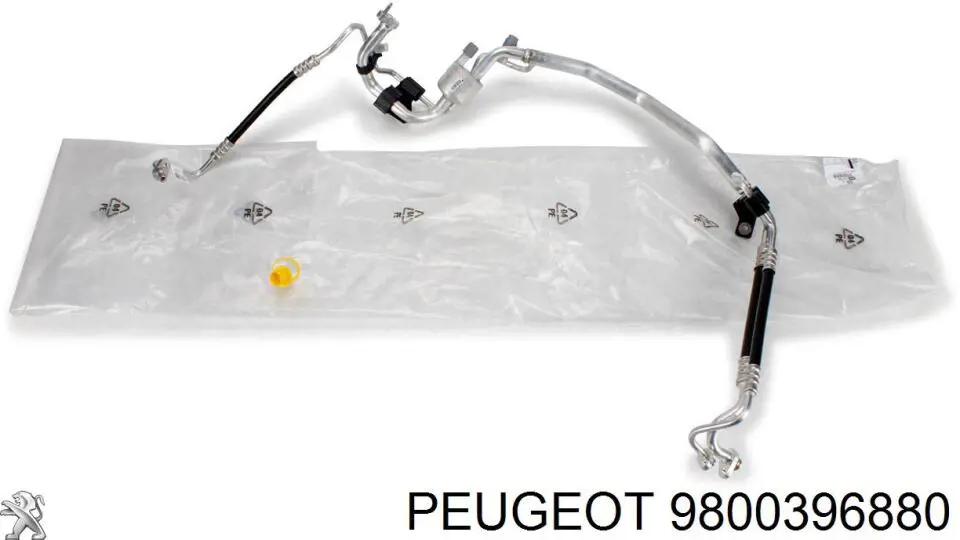 Junta de la carcasa del termostato Peugeot/Citroen 9800396880