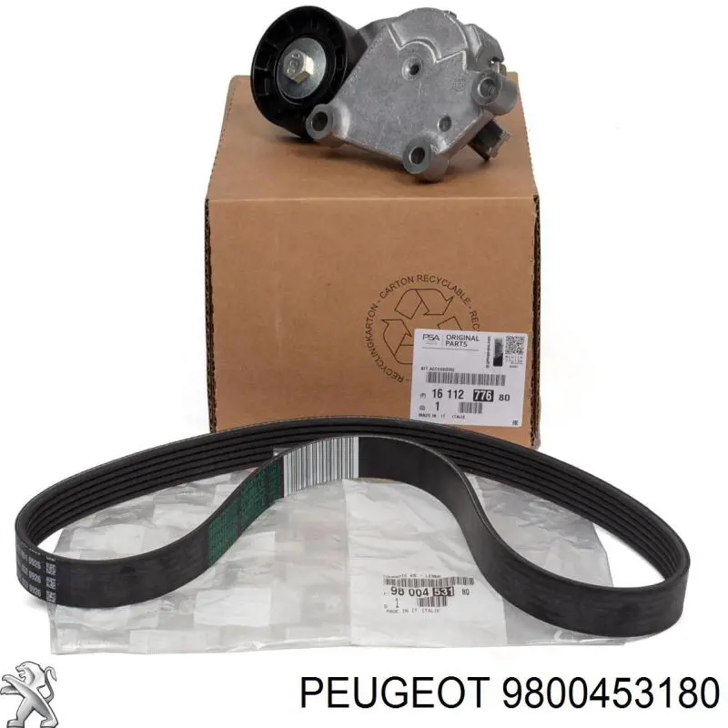 Correa de alternador 9800453180 Peugeot/Citroen