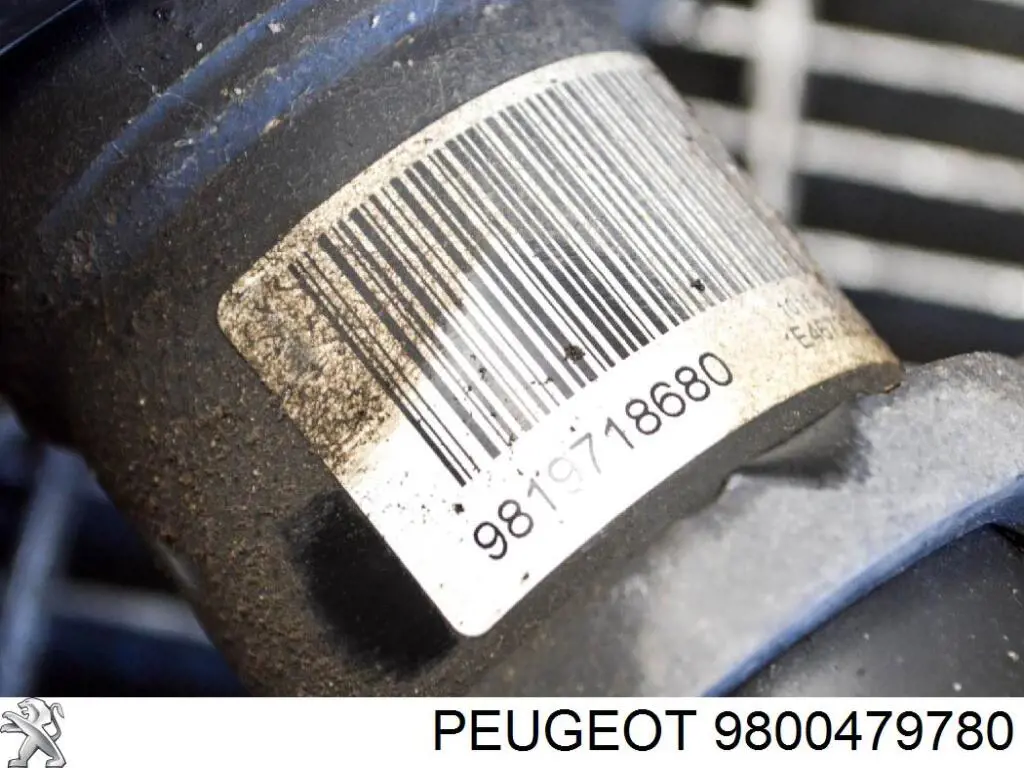 Soporte del amortiguador delantero 9800479780 Peugeot/Citroen