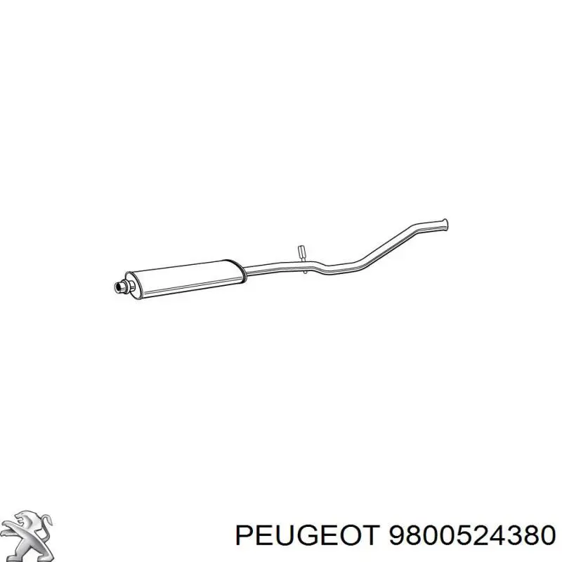 1607350280 Peugeot/Citroen silenciador del medio