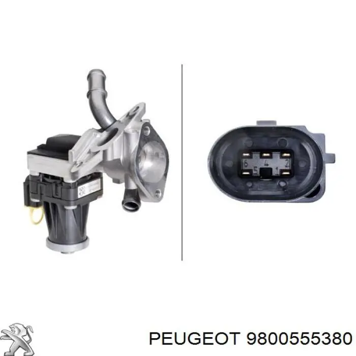 Comprar 9800555380 Peugeot/Citroen Válvula EGR