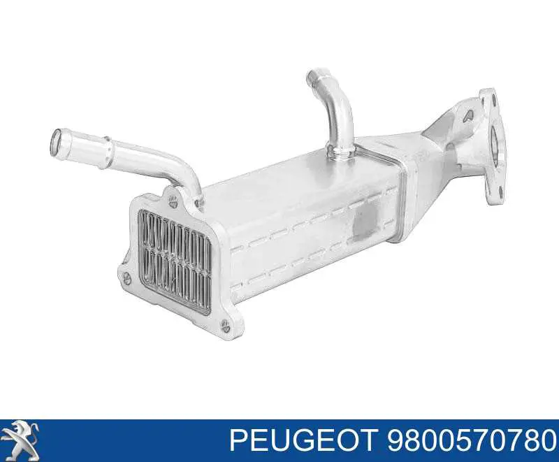 Enfriador de recirculación de gases de escape EGR Peugeot/Citroen 9800570780 precio, desde 127,35 EUR
