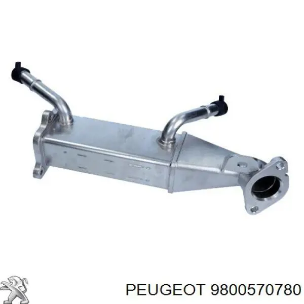 9800570780 Peugeot/Citroen enfriador egr de recirculación de gases de escape