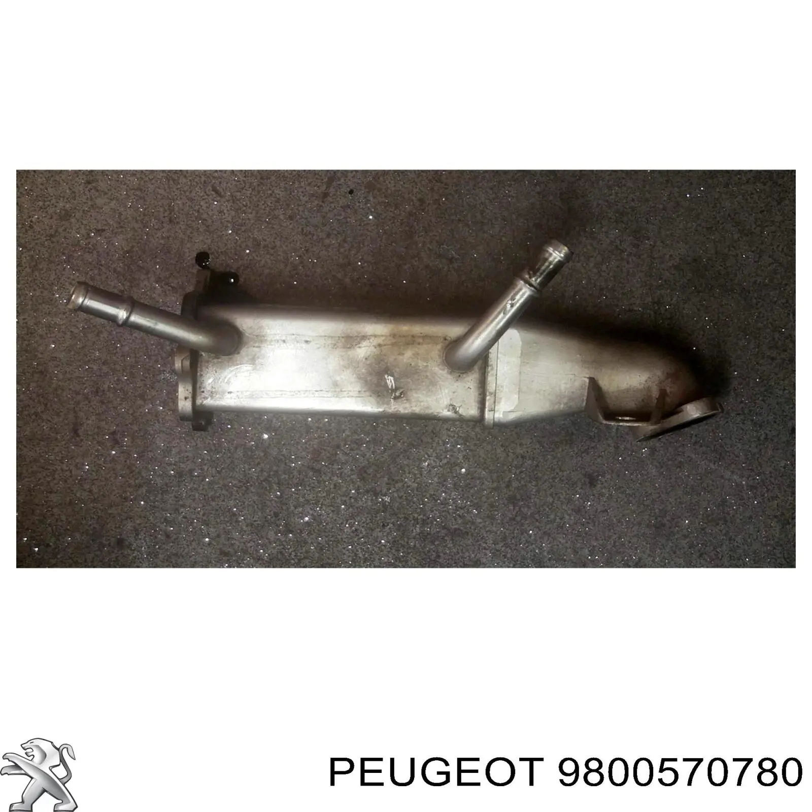 Comprar 9800570780 Peugeot/Citroen Enfriador de recirculación de gases de escape EGR