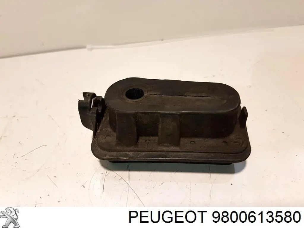 Comprar 9800613580 Peugeot/Citroen 