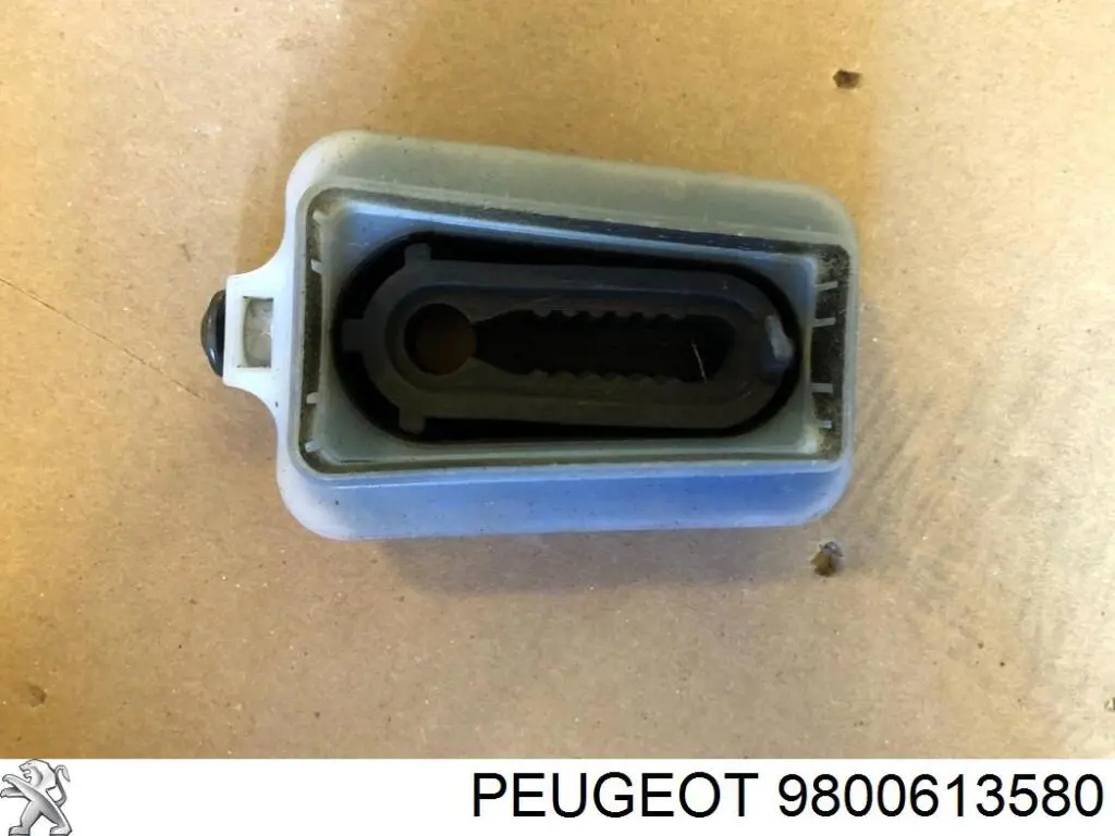  9800613580 Peugeot/Citroen