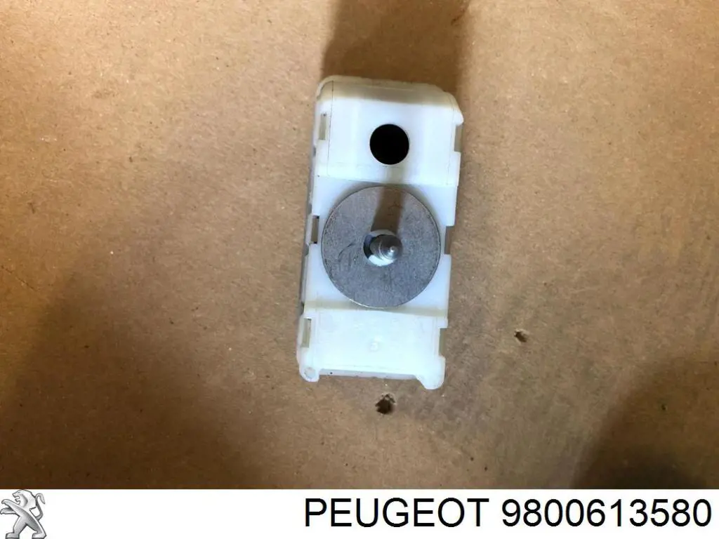 9800613580 Peugeot/Citroen 