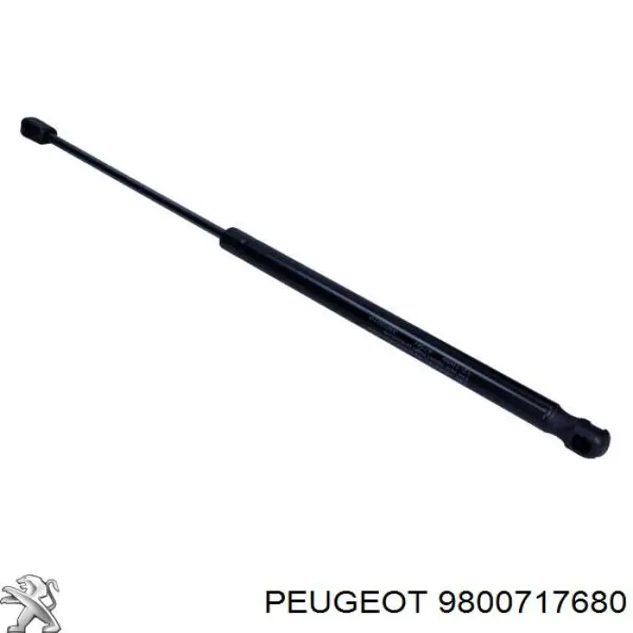 9800717680 Peugeot/Citroen Amortiguador de porton