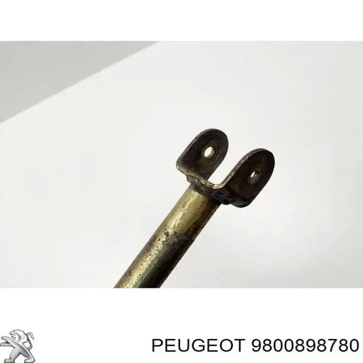 Varilla selectora de la transmisión Peugeot/Citroen 9800898780 precio, desde 110,81 EUR