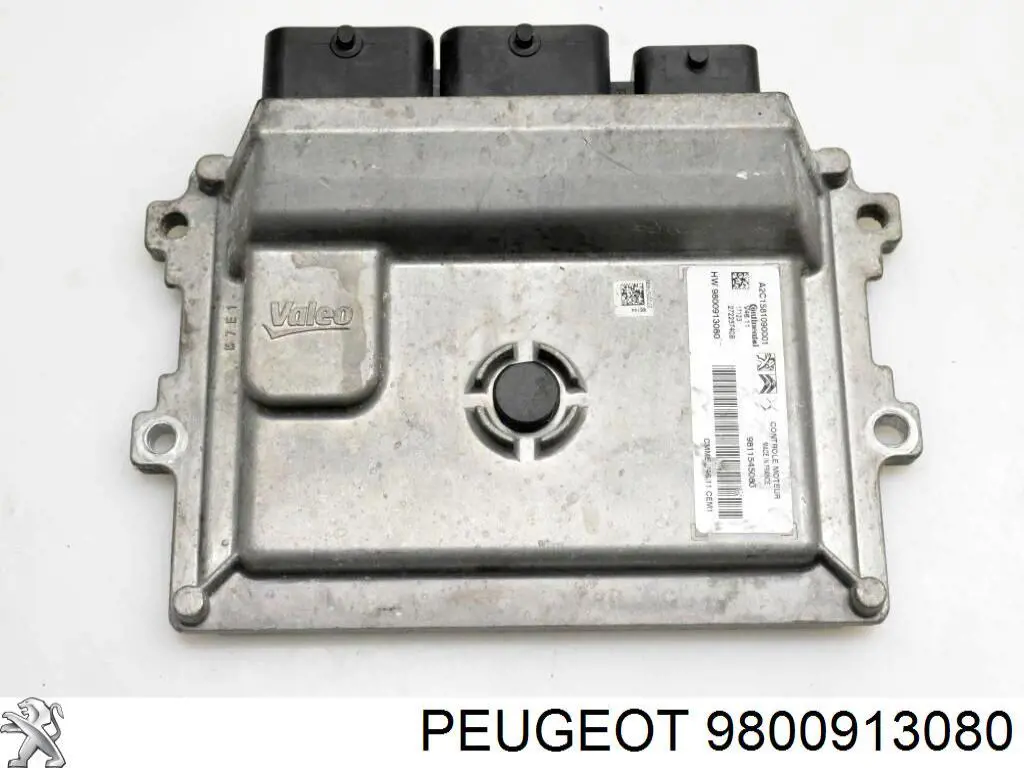 9800913080 Peugeot/Citroen 