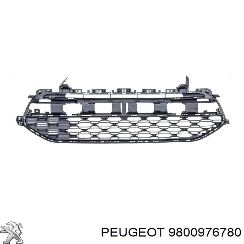 9800976780 Peugeot/Citroen