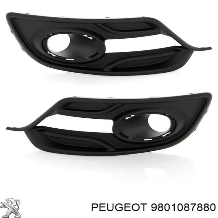 Bisagra de puerta de maletero Peugeot/Citroen 9801087880