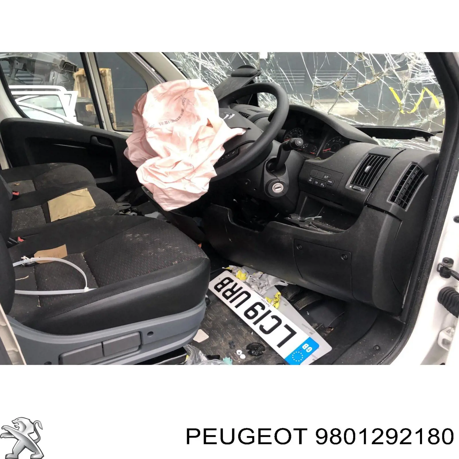 Comprar 9801292180 Peugeot/Citroen 