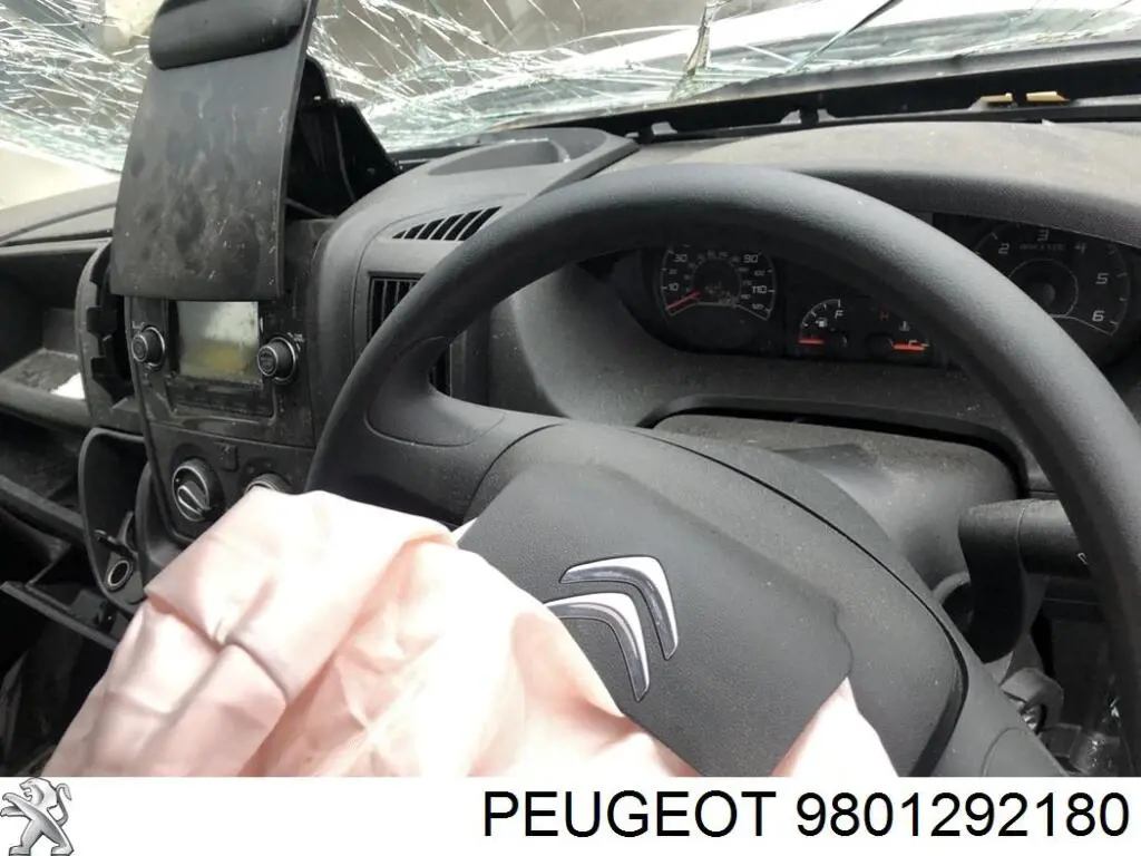  Peugeot/Citroen 9801292180 precio, desde 52,27 EUR