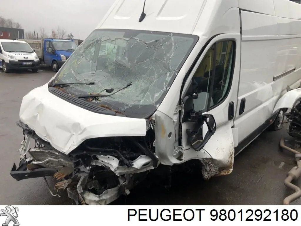  9801292180 Peugeot/Citroen