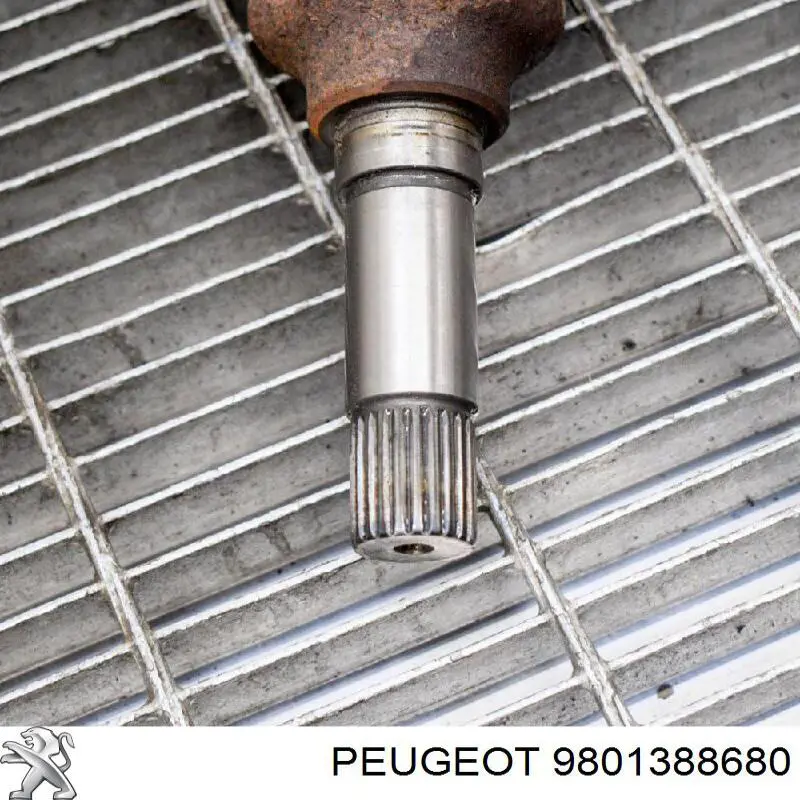 Junta homocinética exterior delantera Peugeot/Citroen 9801388680 precio, desde 45,23 EUR