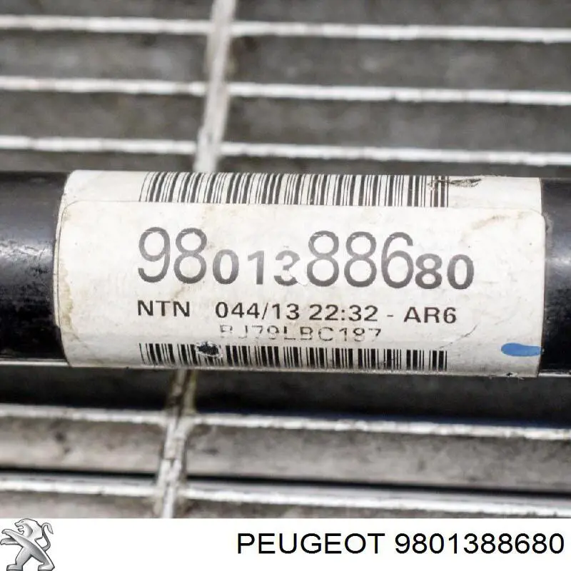 Comprar 9801388680 Peugeot/Citroen Junta homocinetica